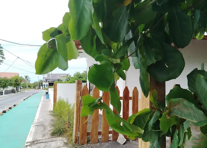 Casa Almendro